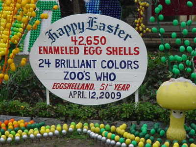 Eggshell sign